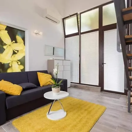 Pomet Superior Ragusa